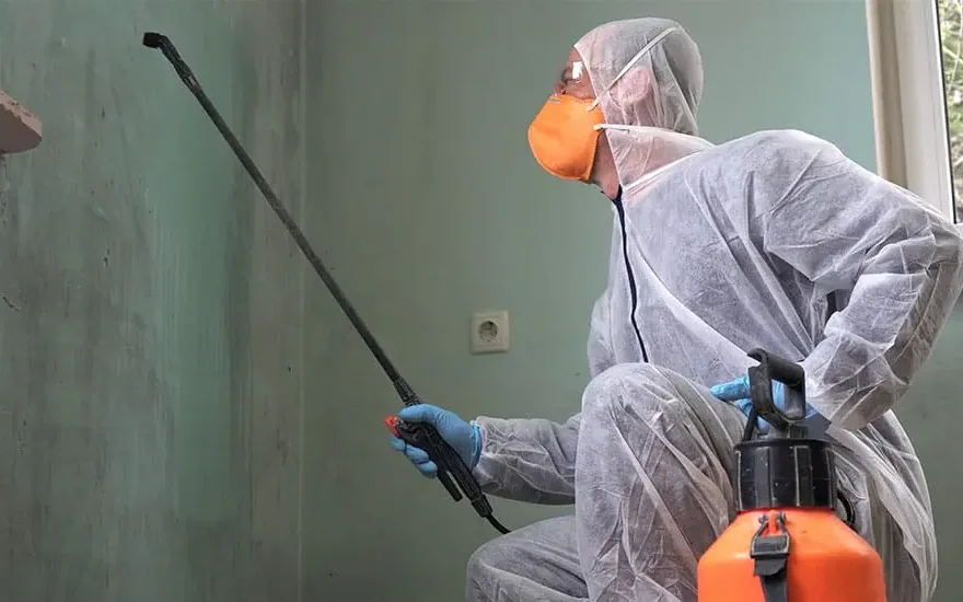 A technician cleaning up after a sewage backup inside a home